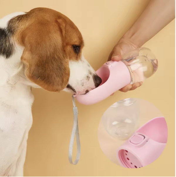 Dog drinking from product